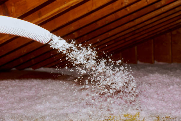 Best Residential Insulation in Umatilla, FL