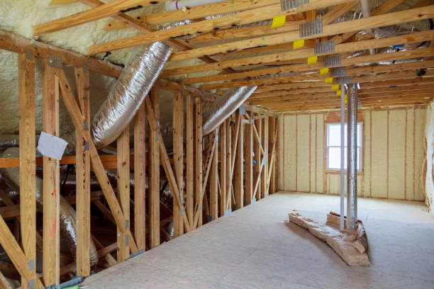 Best Eco-Friendly Insulation in Umatilla, FL