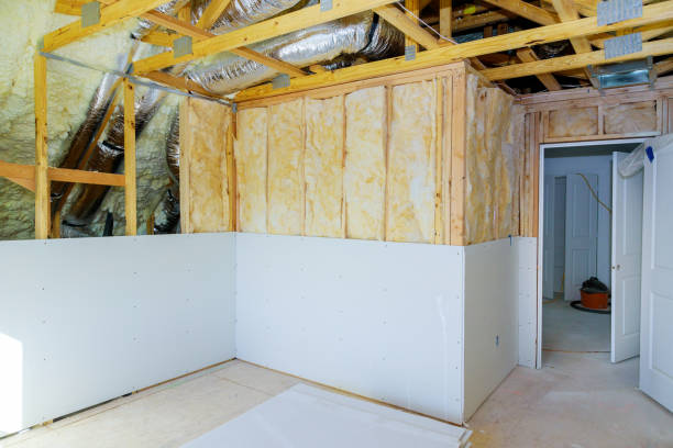 Best Specialized Insulation Services in Umatilla, FL