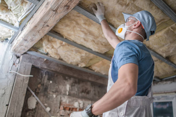 Best Fiberglass Insulation in Umatilla, FL