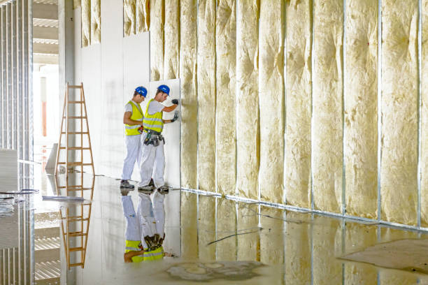 Best Insulation Maintenance and Repair in Umatilla, FL